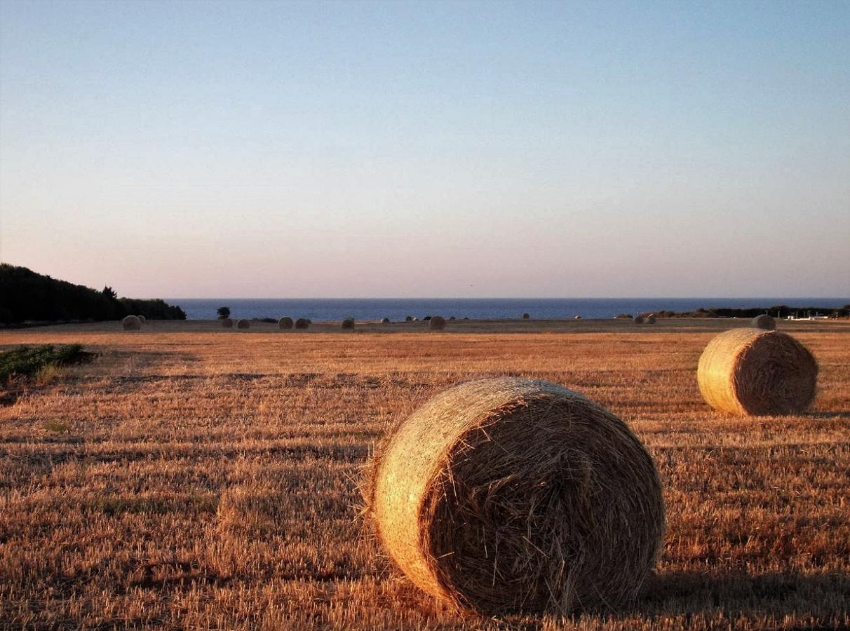 Masseria Di Benedetto Lägenhet Ostuni Exteriör bild