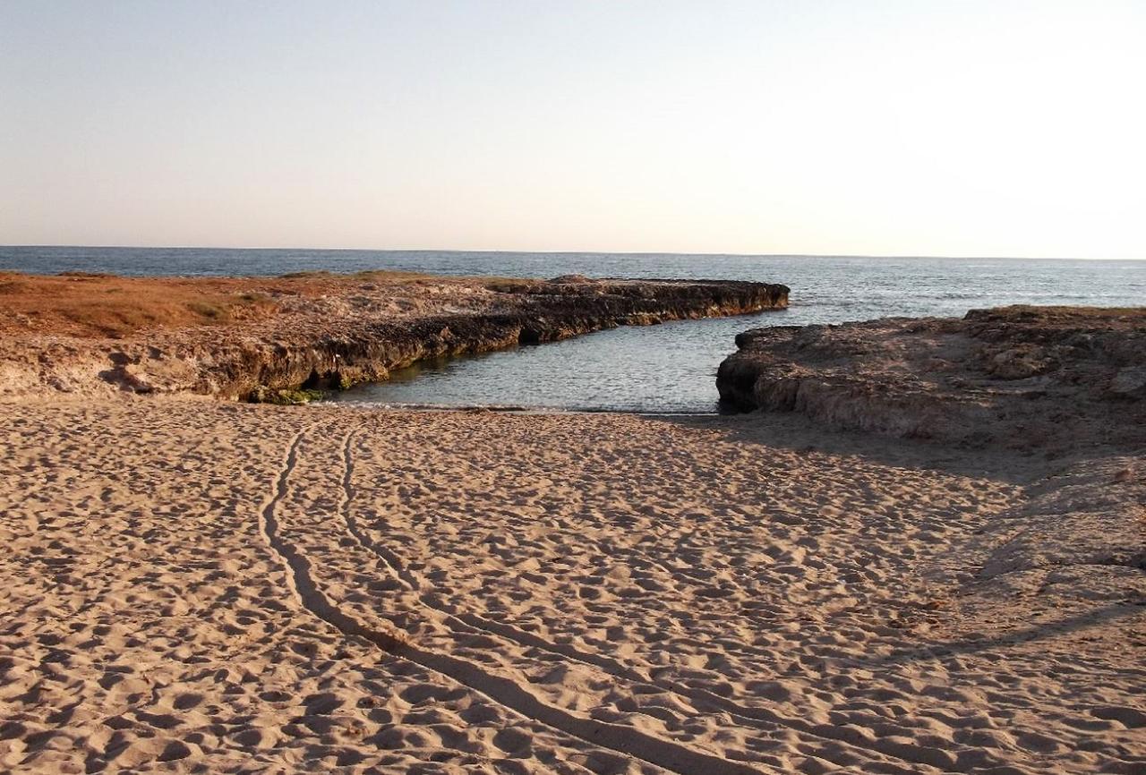 Masseria Di Benedetto Lägenhet Ostuni Exteriör bild